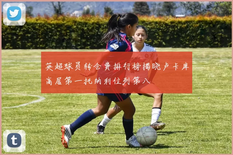 英超球员转会费排行榜揭晓卢卡库高居第一托纳利位列第八